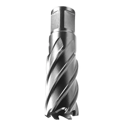 Фрезер за метал ядков Alfra за магнитна бормашина HSS-Co удължен Weldon 19  ф 50х110 мм
