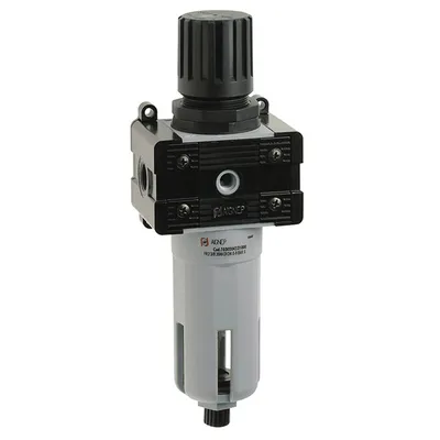 Филтър регулатор Aignep за пневмогрупи  4500 л/мин, 20 µm, FRL T030