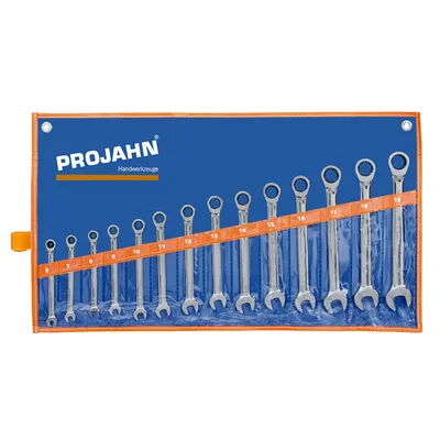 Звездогаечен ключ Projahn 6-стен/12-стен с тресчотка комплект  6-19 мм, 14 бр.