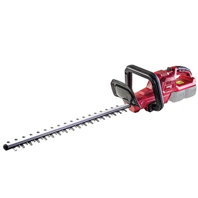 Храсторез Raider акумулаторен без батерия и зарядно, 40 V, 510 мм, RDP-SCHT20