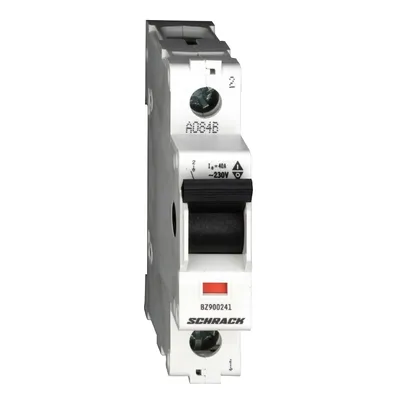 Прекъсвач Schrack Technik ръчен товаров еднополюсен шалтер 40 A, 12.5 kA, 1P, 240 V, BZ900241